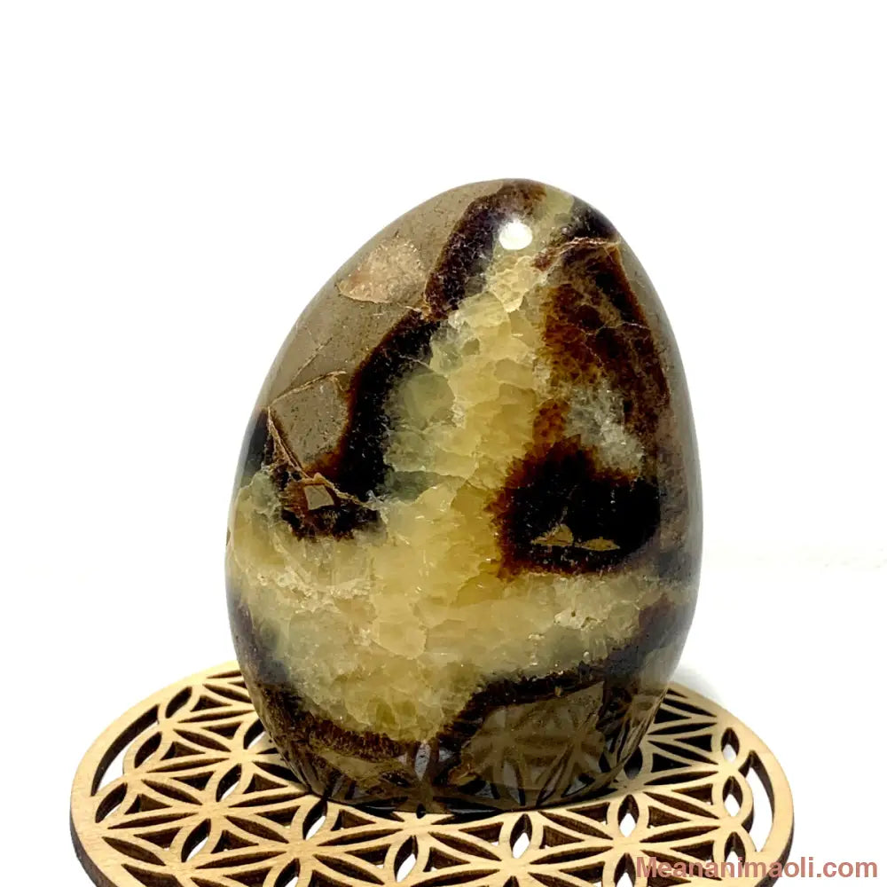 Bloc de Septaria naturel 290 g de Madagascar, pierre d’ancrage et énergie vitale