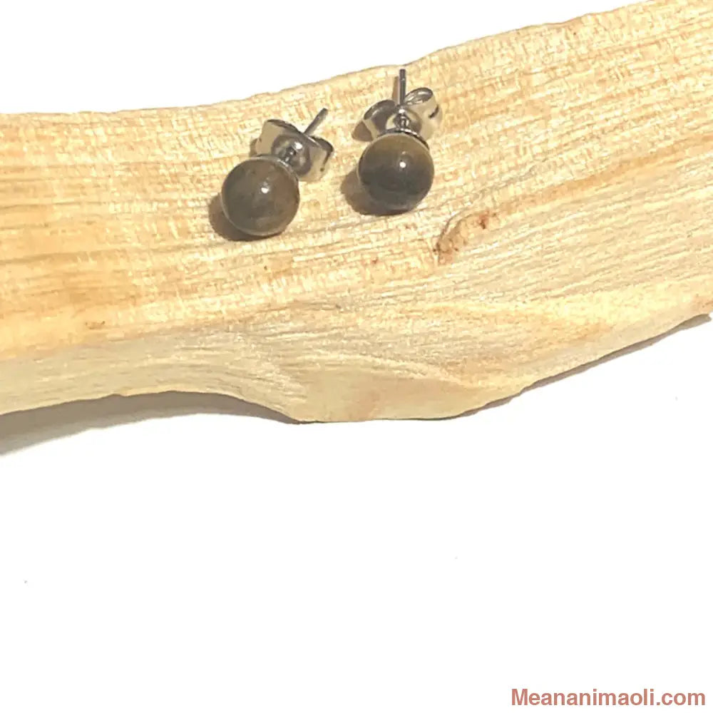 Paire de boucles d'oreilles en acier inoxydable argenté avec pierre naturelle Œil de Tigre, posées sur un bâton de Palo Santo