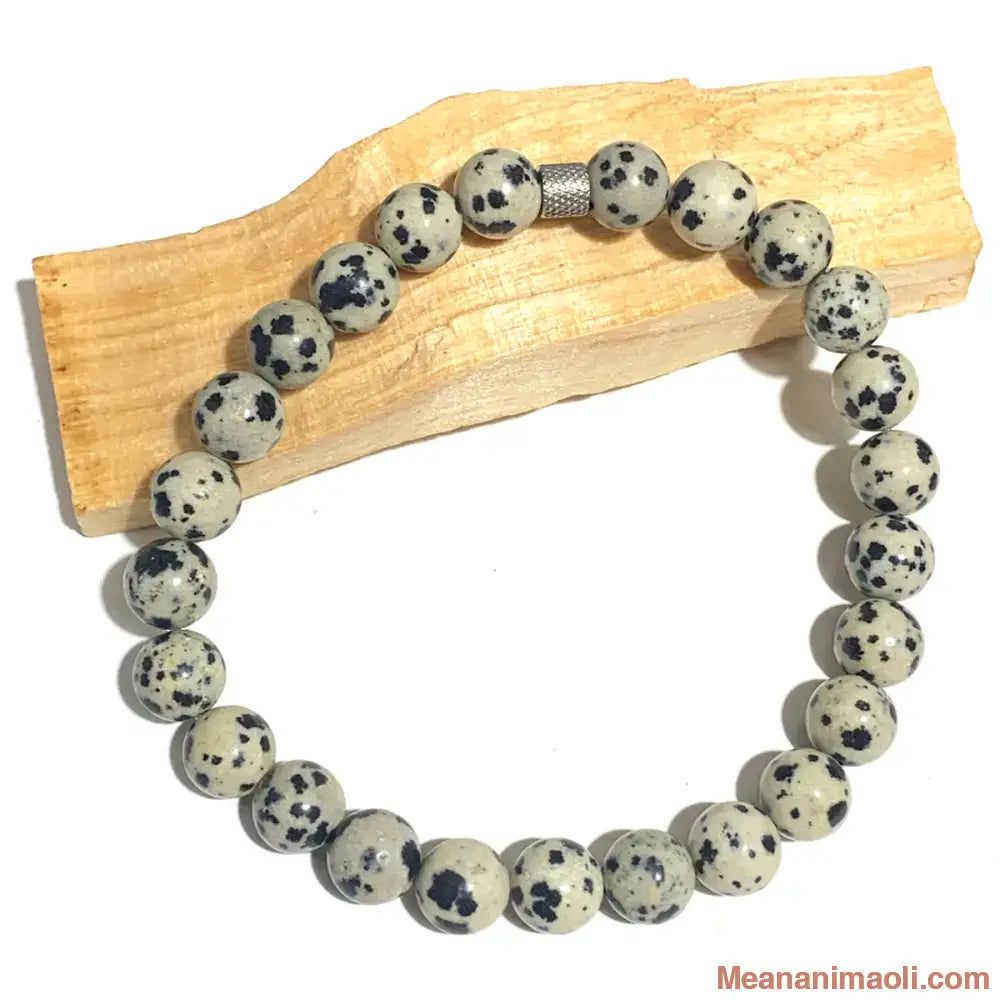 Bracelet jaspe dalmatien 8mm en pierres naturelles pour lithothérapie avec perle acier inox argenté.