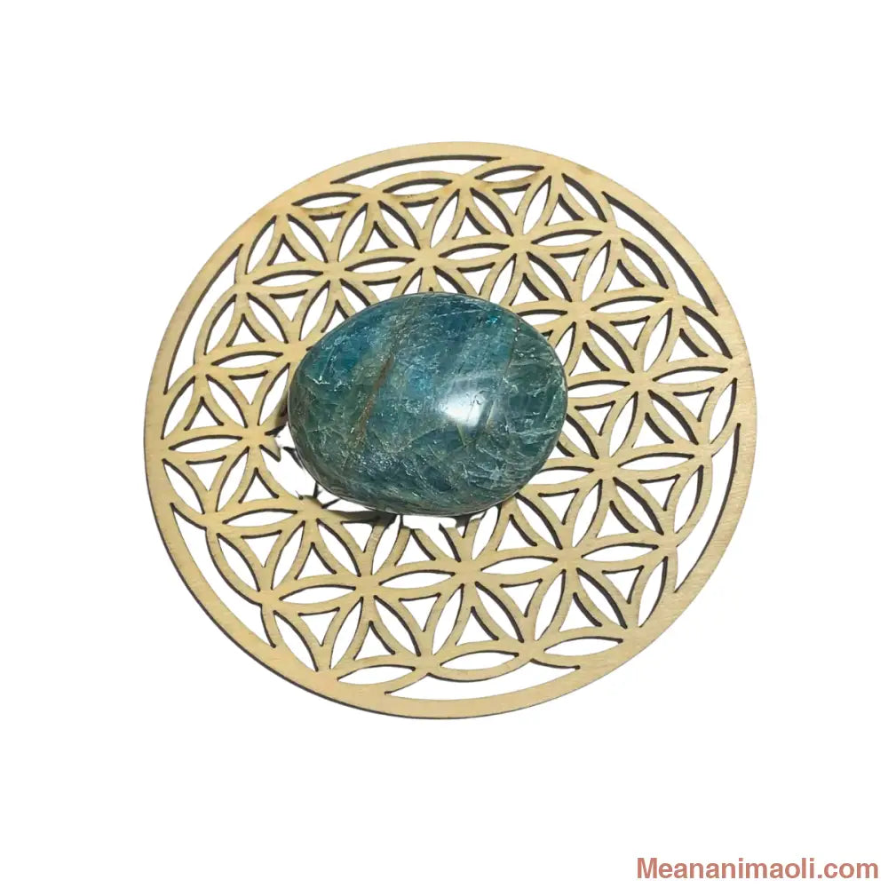 Galet d’apatite naturel 55 g – pierre de clarté et d’expression – Madagascar