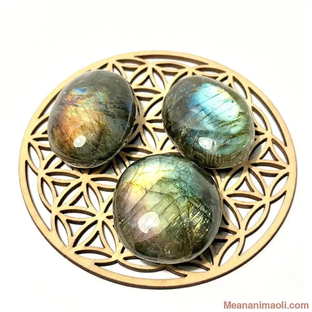 Trois pierres roulées en Labradorite naturelle aux reflets irisés bleus et dorés posées sur une fleur de vie en bois, boutique MEANANIMAOLI
