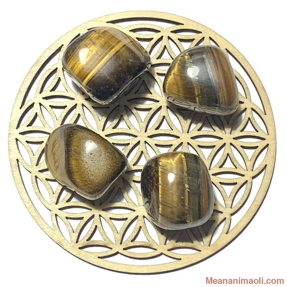 Pierre roulée en œil de tigre naturel – protection, confiance et courage