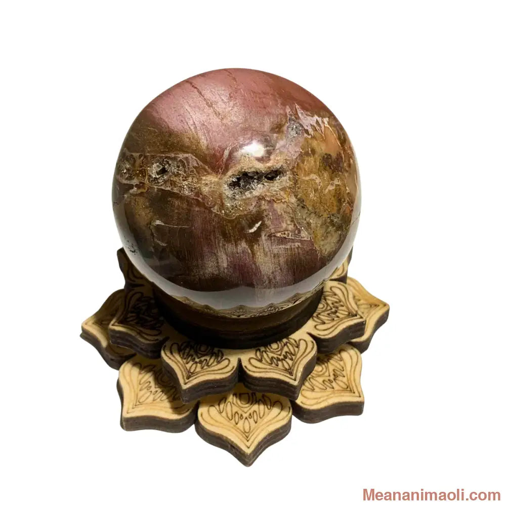 Sphère en bois fossilisé naturelle 230 g avec support lotus en bois – pierre de stabilité et de sagesse en lithothérapie