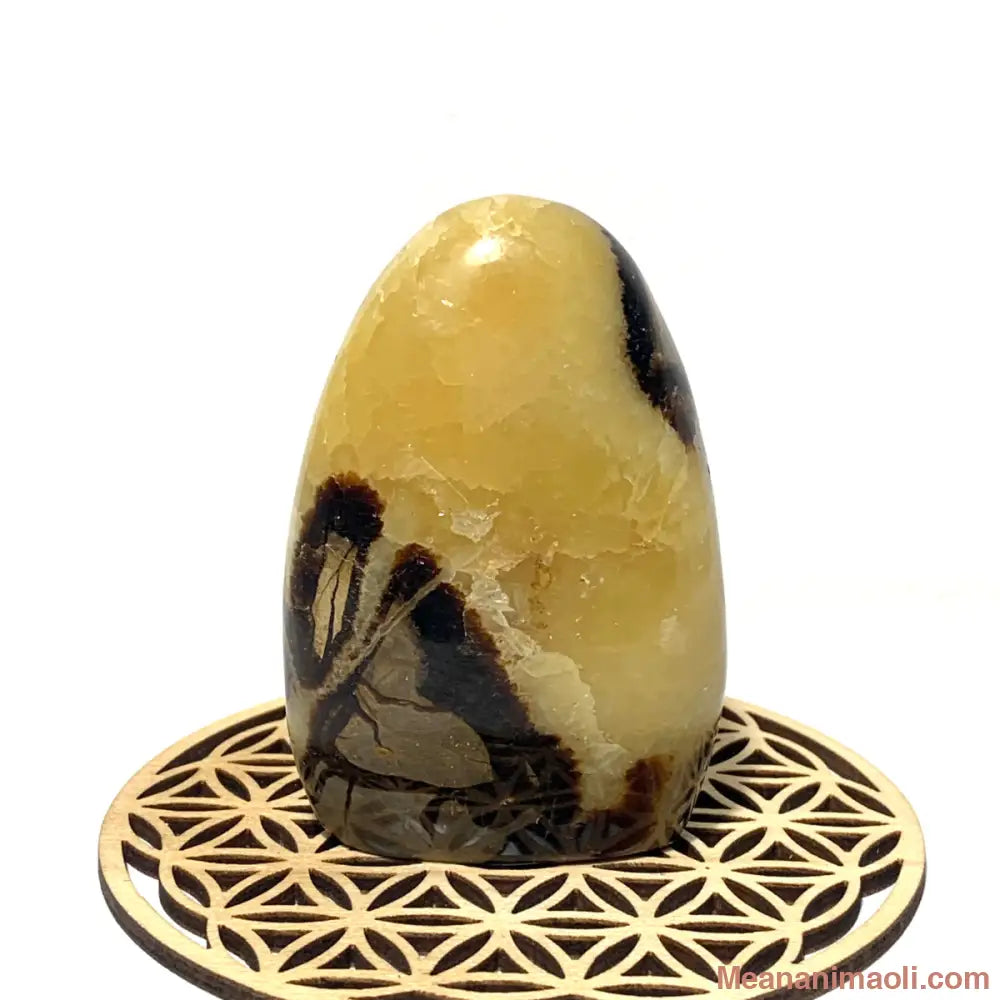 Bloc de Septaria naturelle 185 g de Madagascar, pierre d’ancrage et de stabilité émotionnelle