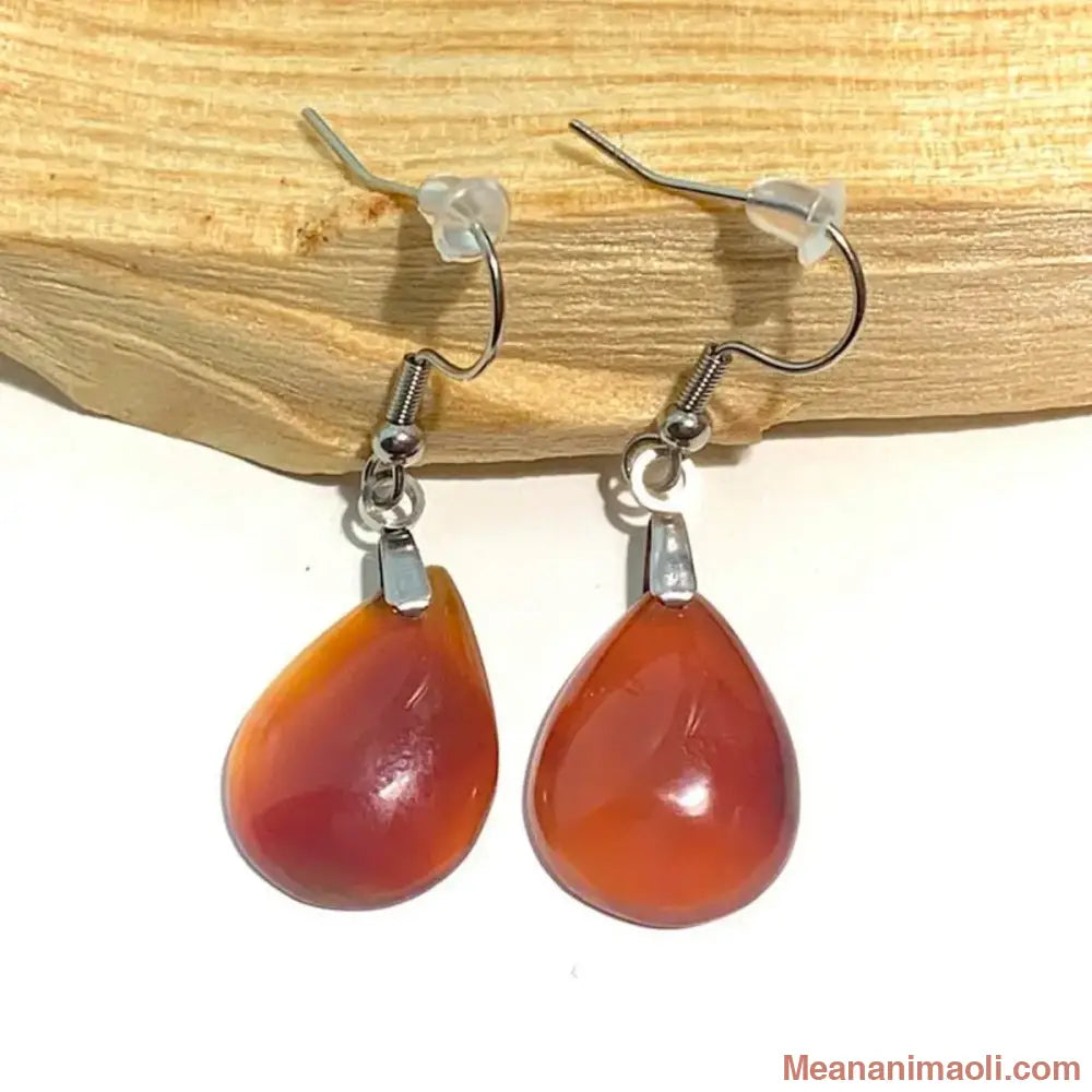 Paire de boucles d'oreilles simples en pierre naturelle Cornaline, acier inoxydable argenté, posées sur un bâton de Palo Santo