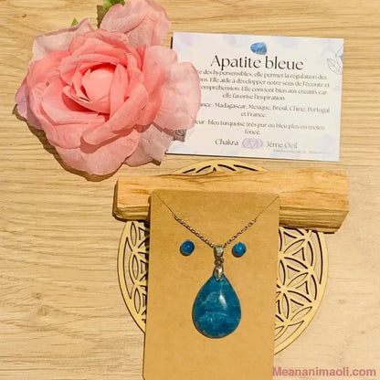 Parure bijoux acier inoxydable (collier et puces d'oreilles), Fleur de Vie et Palo Santo.