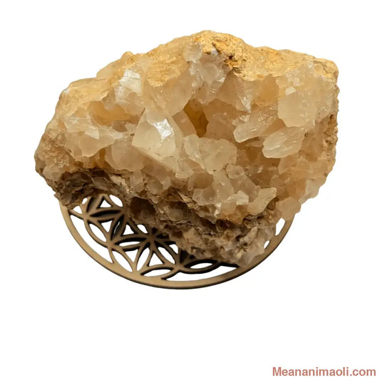 Druse de Calcite jaune  530g cristaux naturels  - posée sur une fleur de vie en bois