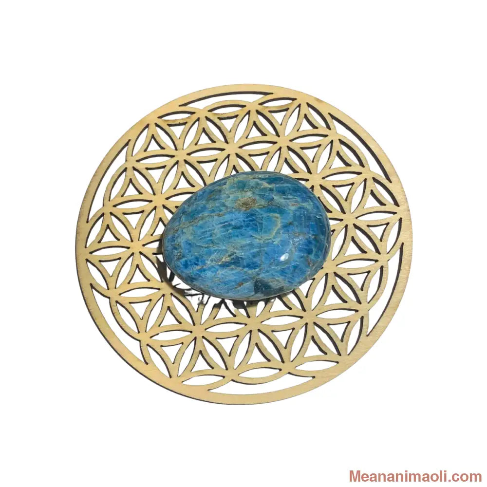 Galet d’apatite naturel 65 g – pierre de clarté et d’expression – Madagascar