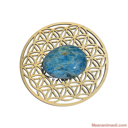 Galet d’apatite naturel 65 g – pierre de clarté et d’expression – Madagascar