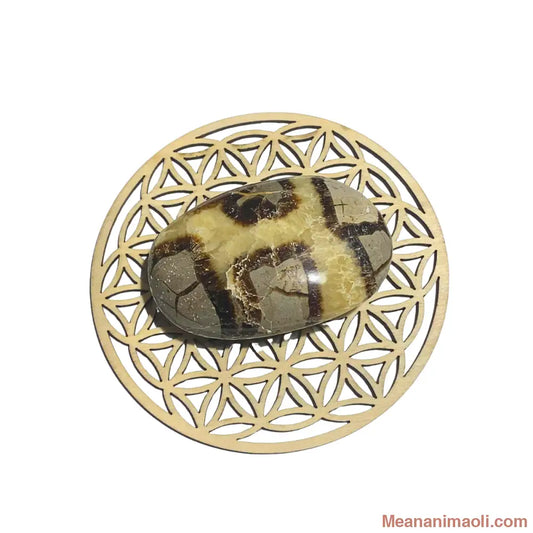 Galet de Septaria naturel 100 g – pierre d’ancrage et de sérénité – origine Madagascar