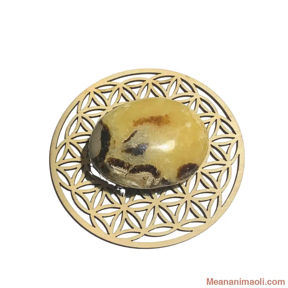 Galet de Septaria naturel 110 g – pierre d’ancrage et de sérénité – origine Madagascar