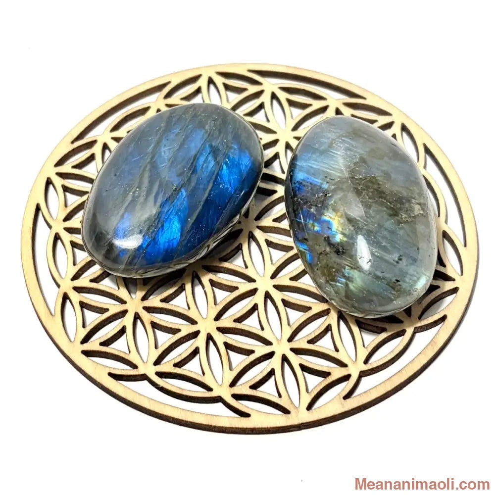 Deux pierres roulées en Labradorite naturelle aux reflets bleus et irisés posées sur une fleur de vie en bois, boutique MEANANIMAOLI