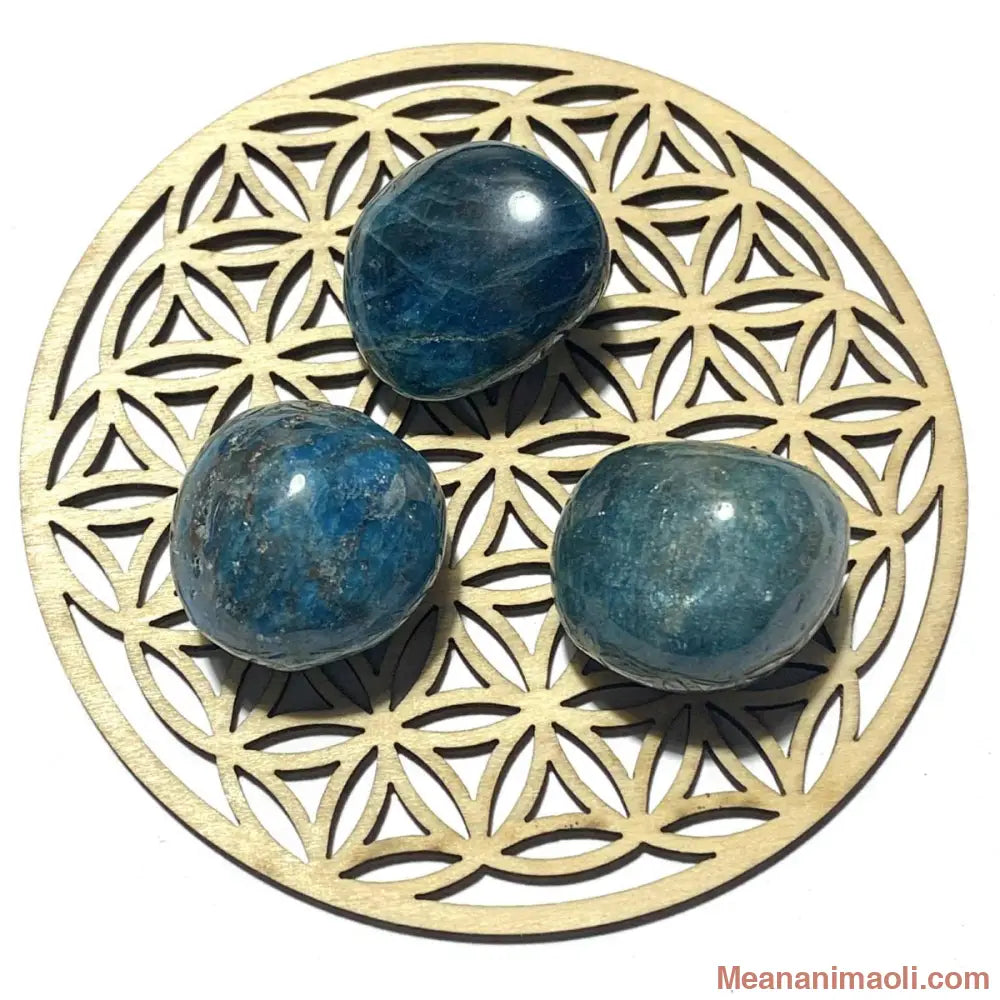 Pierre roulée en apatite naturelle – clarté, motivation et équilibre