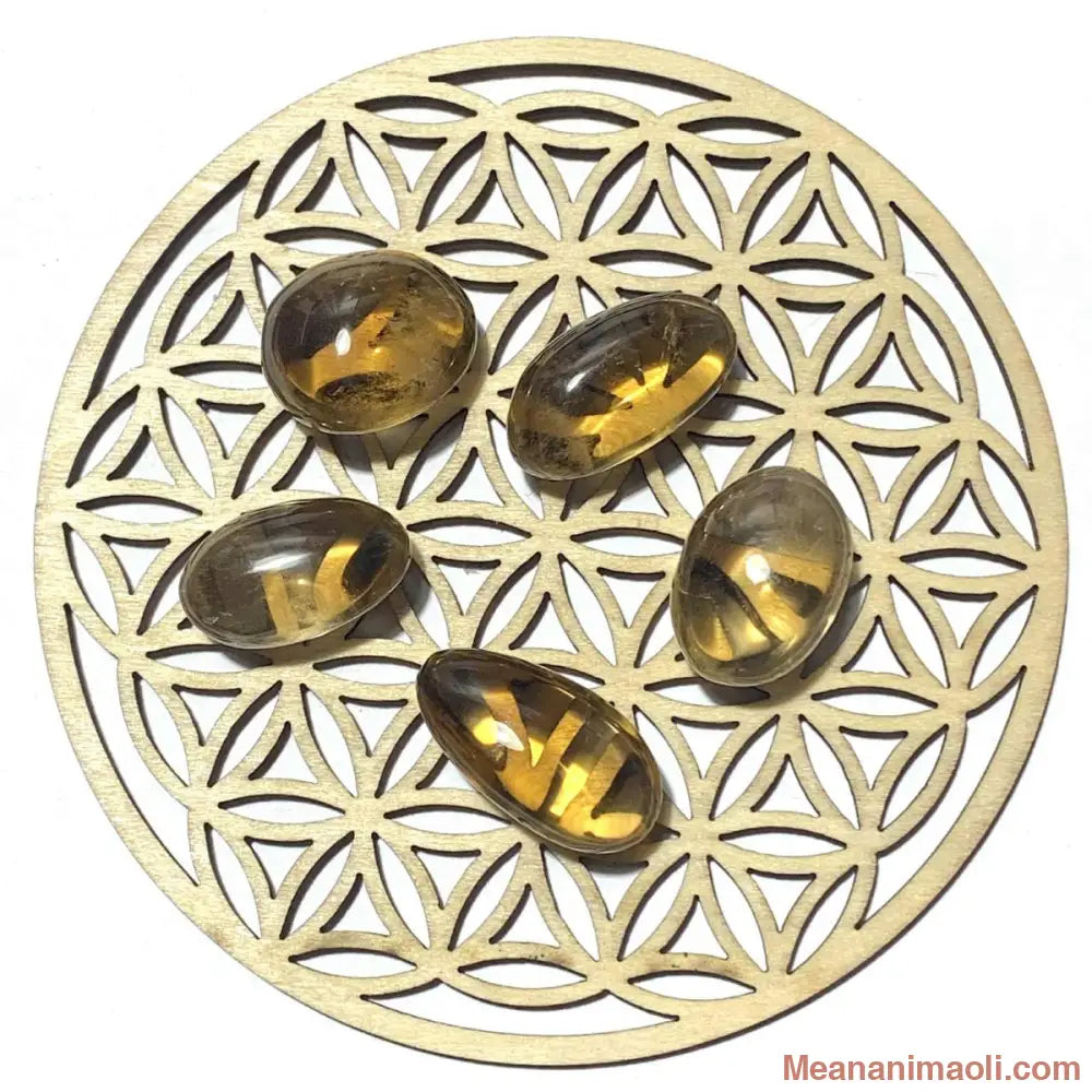 Pierre roulée en citrine naturelle posée sur une fleur de vie.