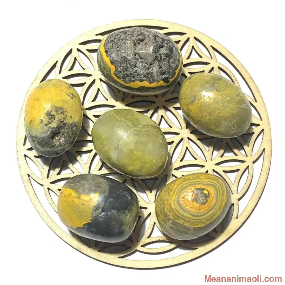 Pierre roulée en jaspe Bumblebee naturelle – vitalité, créativité et énergie 