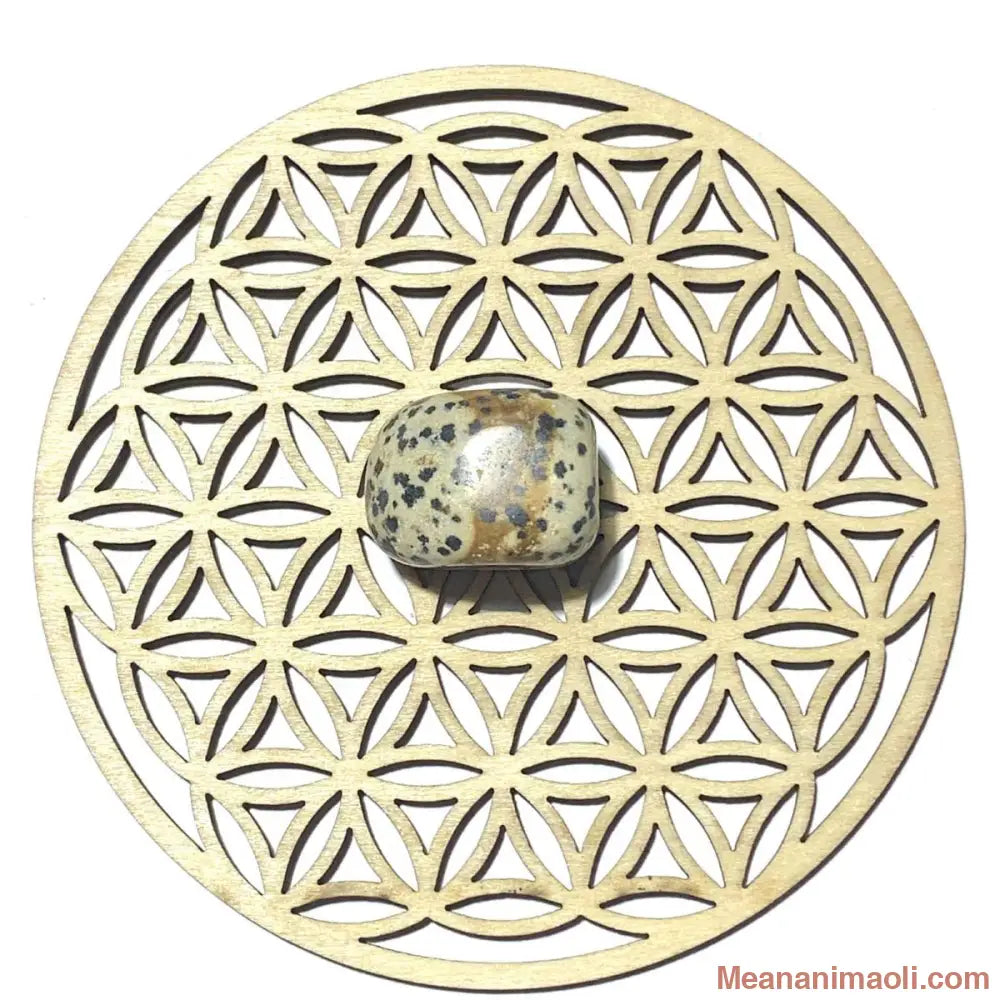 Pierre roulée en jaspe dalmatien naturelle – protection, équilibre et positivité