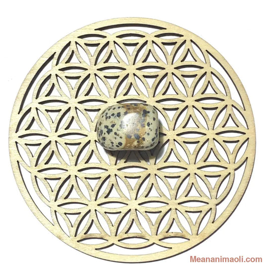 Pierre roulée en jaspe dalmatien naturelle – protection, équilibre et positivité