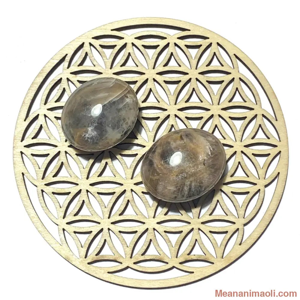 Pierre roulée en pierre de lune noire naturelle – protection, intuition et équilibre