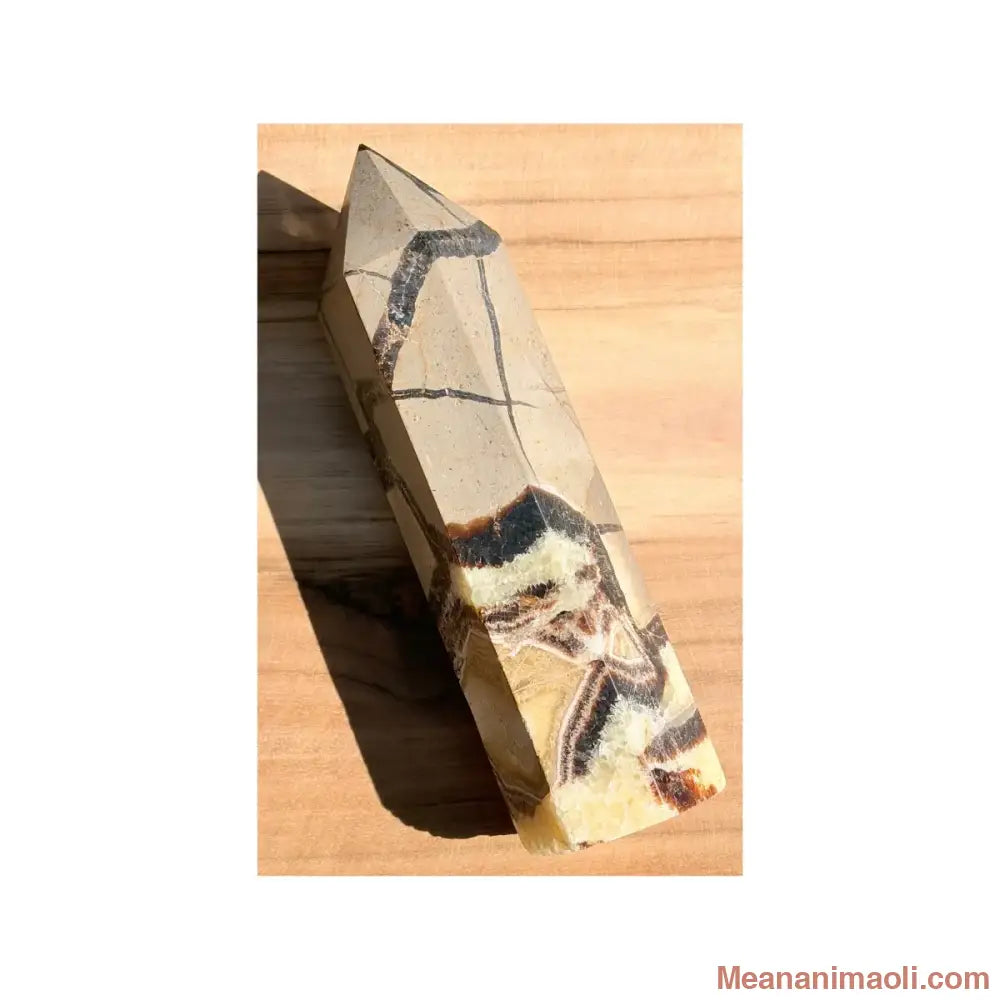 Grande pointe de Septaria naturelle de 15 cm originaire de Madagascar, motifs géométriques noirs et jaunes, une pièce unique MEANANIMAOLI
