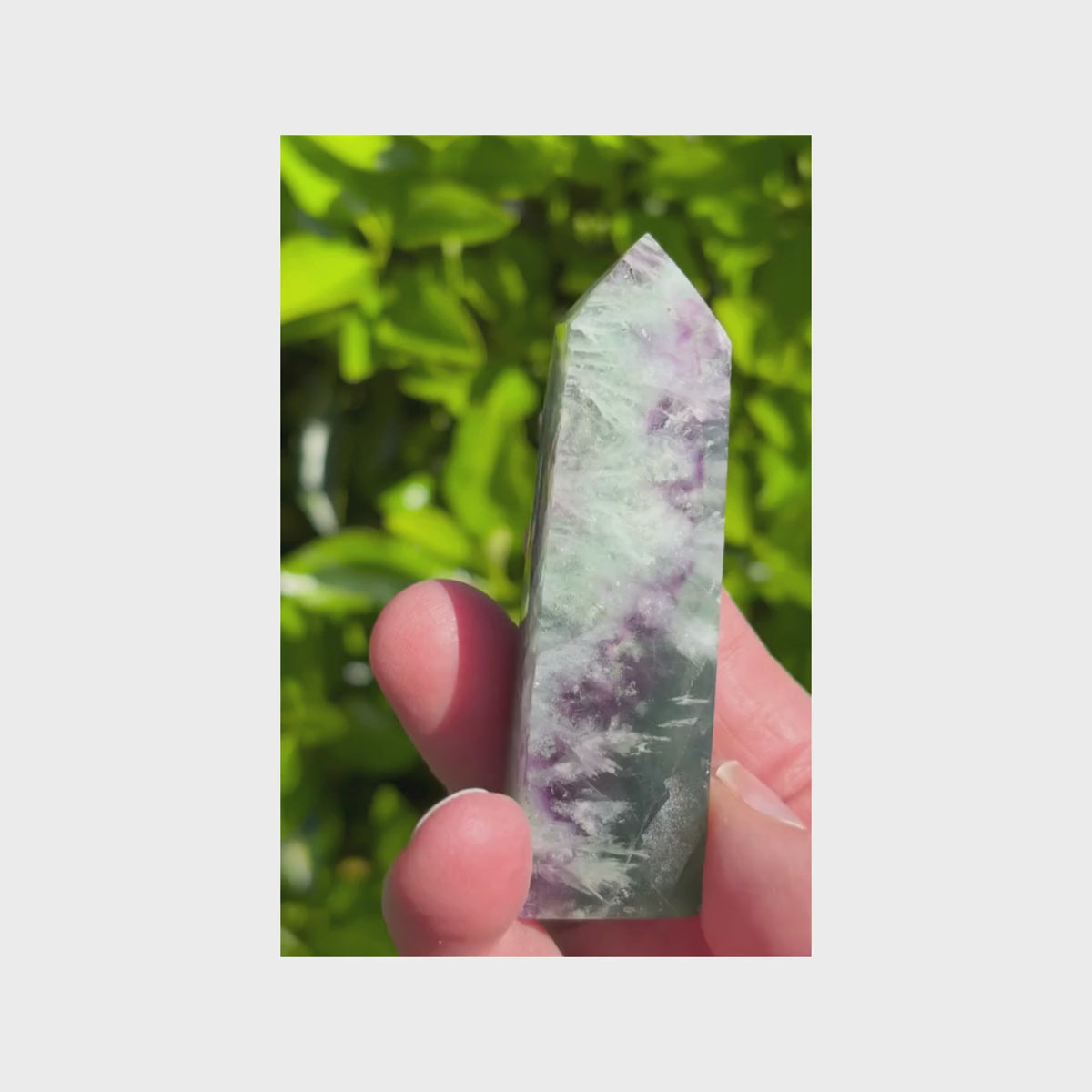 Vidéo de présentation d'une pointe de Fluorite Plume de 88g, montrant la transparence des cristaux violets et verts sous la lumière